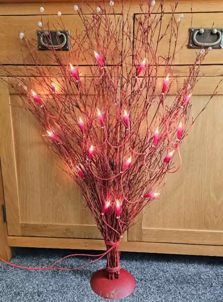 Photo of free Ornament with lights (Boulton Moor DE24) #1
