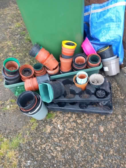 Photo of free Plastic plant pots (Farden SY8) #1