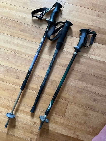 Photo of free Trekking poles (Stakes lodge, waterlooville) #1