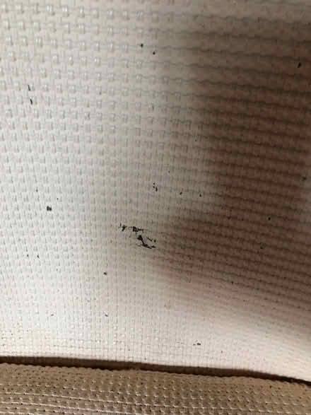 Photo of free Lloyd Loom style chair (Newcastle-under-Lyme CW3) #3