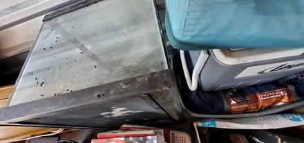 Photo of free Aquarium (Channelview) #2