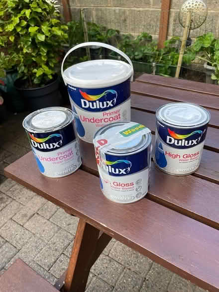 Photo of free Paint (Shankill) #1