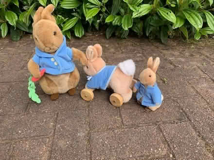 Photo of free Peter Rabbit toys (Auchenlay FK15) #1