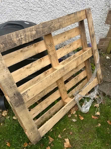 Photo of free Pallet (LU6) #1