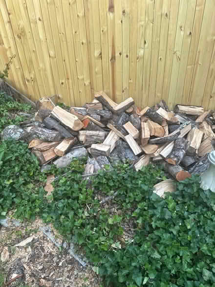 Photo of free fire wood (Ft Washington-Forest Knolls) #2