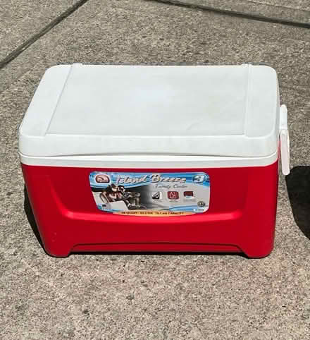 Photo of free 48 Quart Igloo Cooler (Wexford close to I-79) #1