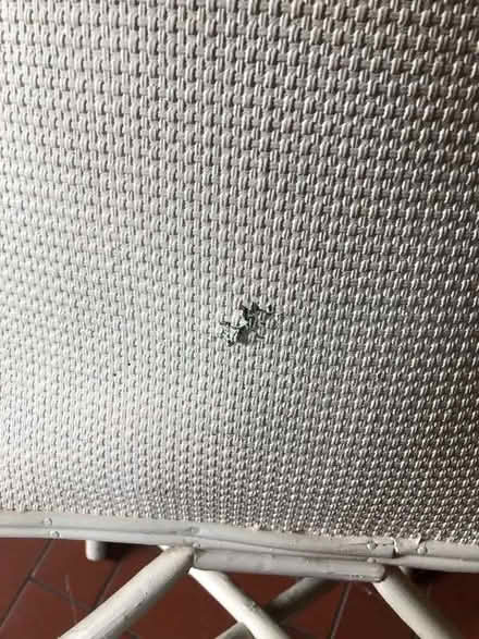 Photo of free Lloyd Loom style chair (Newcastle-under-Lyme CW3) #2