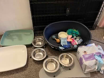 Photo of free Kitten accessories starter set (Chapel Ash WV3) #1