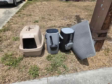 Photo of free Cat Stuff (Clearwater, Fl) #1