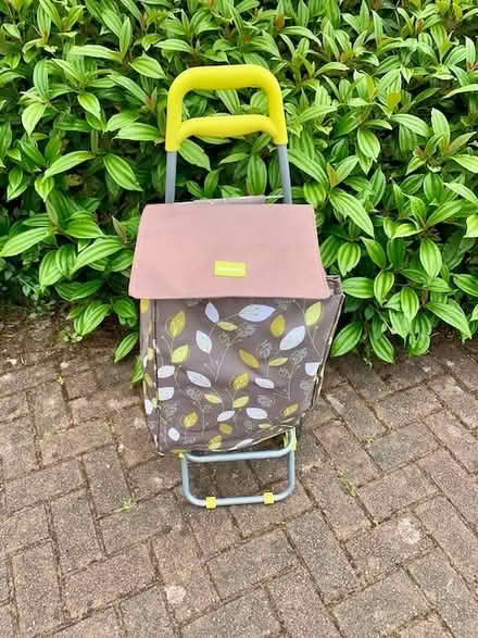 Photo of free Shopping trolley (Auchenlay FK15) #1
