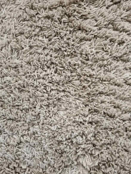 Photo of free Large rug (Bare LA4) #2