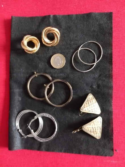Photo of free Big earrings (Woodford IG8) #1
