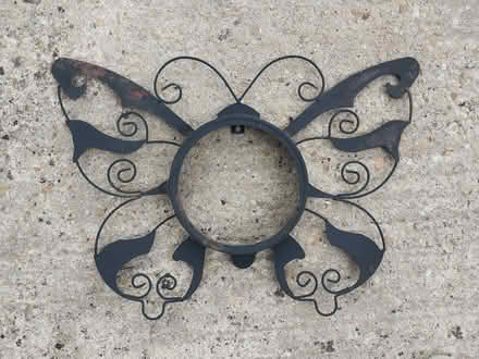Photo of free Butterfly (Oxford OX3) #1