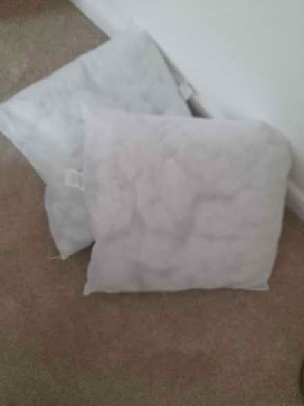 Photo of free 2 Cushion inserts (Sapcote LE9) #1