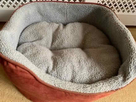 Photo of free Dog bed (Pirbright GU24) #1