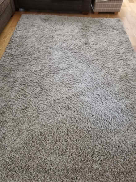 Photo of free Large rug (Bare LA4) #1