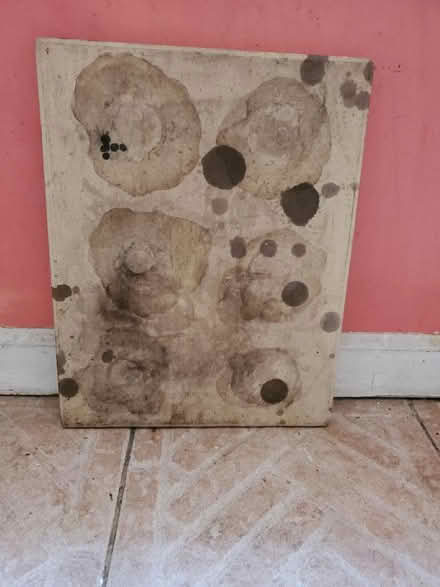 Photo of free Pizza Stone (Bayonne, NJ) #1