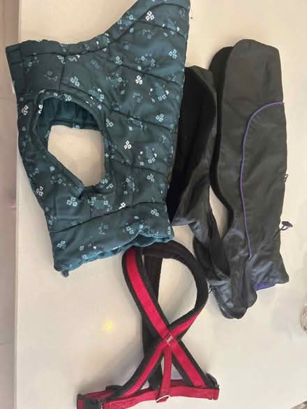 Photo of free Dog jackets and harness (BN1 (off Dyke Road)) #1