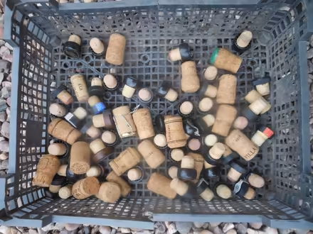 Photo of free Corks (Trench TF2) #1