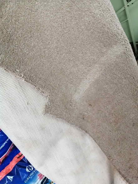 Photo of free Old carpet for use on allotment? (Innox Hill BA11) #1