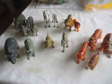 Photo of free Zoo animals (Malvern Link WR14) #1