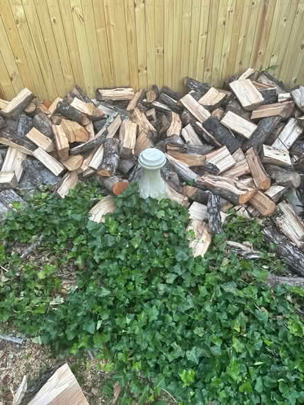 Photo of free fire wood (Ft Washington-Forest Knolls) #1