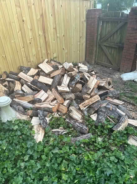 Photo of free fire wood (Ft Washington-Forest Knolls) #4