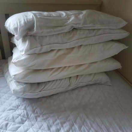 Photo of free Pillows (Whitehill GU35) #1