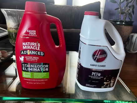 Photo of free Carpet/floor cleaners (Alameda) (West side) #1