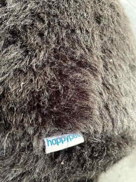 Photo of free Chimp dog toy (North Ascot SL5) #2