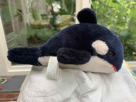 Photo of free Soft toy (Chad Valley B15) #1