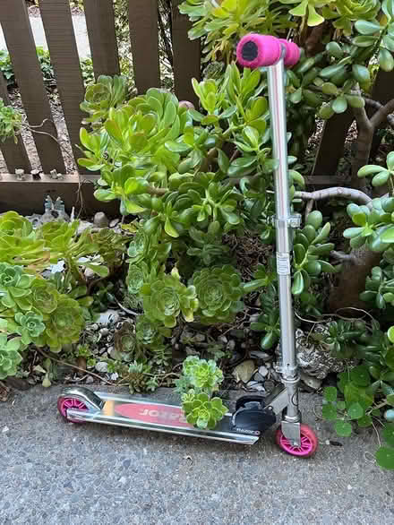 Photo of free Razor scooter (Sylvan Park) #1