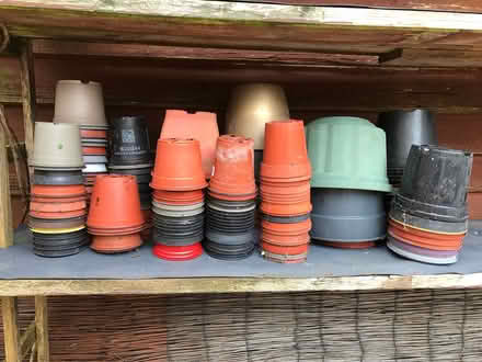 Photo of free Varoius Plastic Plant Pots (Weymouth) #1
