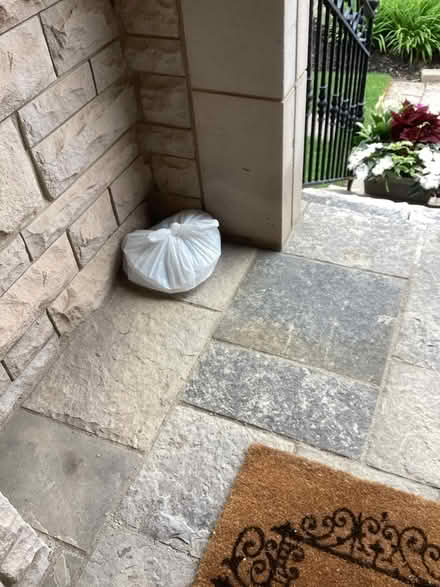 Photo of free French white microwave cups (N E Oakville.) #2