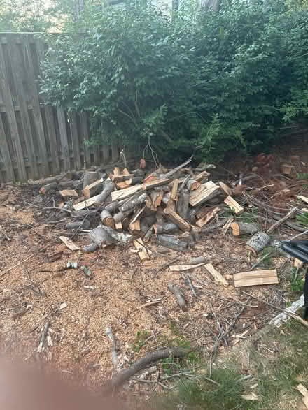 Photo of free fire wood (Ft Washington-Forest Knolls) #3