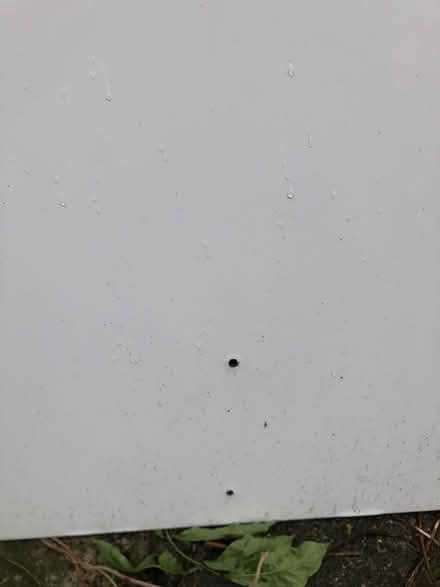 Photo of free Cupboard door white (Bromley BR1) #3