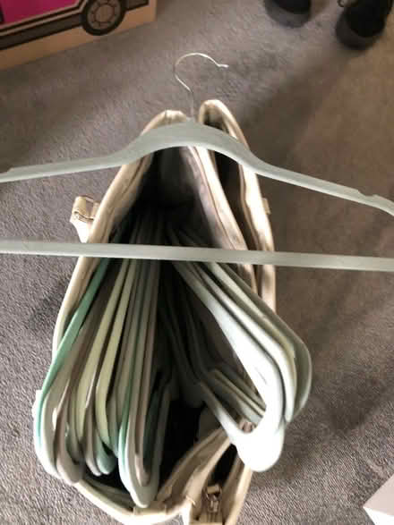 Photo of free Bag with velvet hangers (UB2) #2