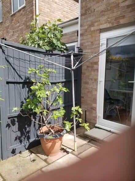 Photo of free rotary washing dryer (51 farmer's close OX28) #1