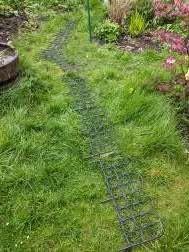 Photo of free Low Garden Border Edging (Gilmerton EH17) #1