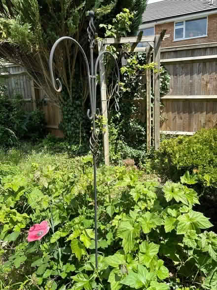Photo of free Bird feeder hanger (HP12) #2