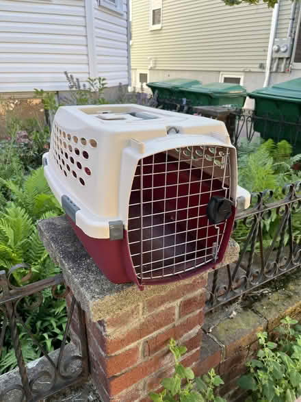 Photo of free pet carrier (Ball Square) #1