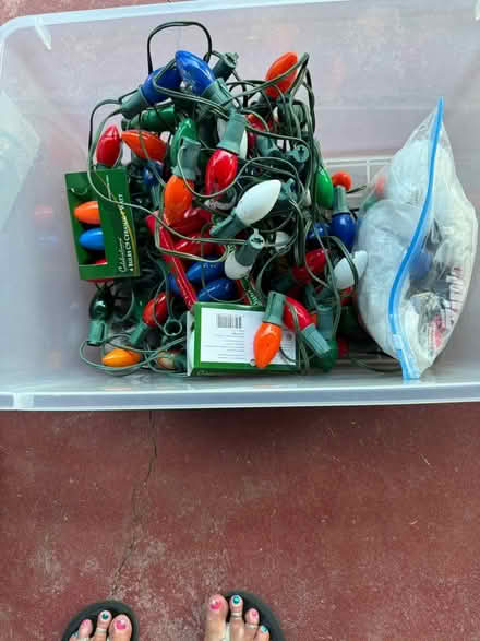 Photo of free Christmas lights (Saranap) #1