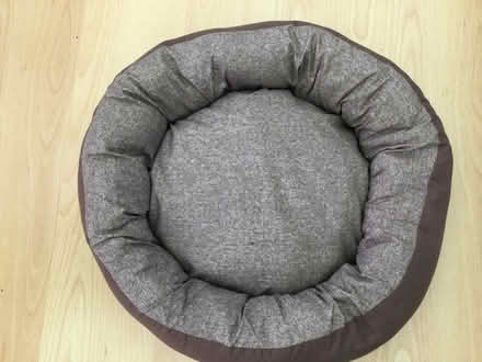 Photo of free Comfy padded cat/small dog bed. (Eye) #1