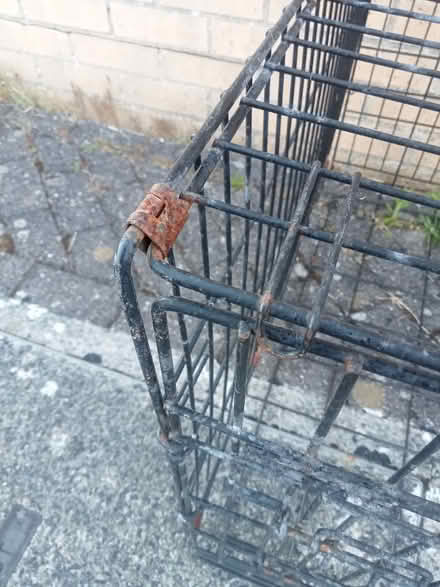 Photo of free Folding Metal Pet Cage (PL4) #4