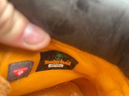 Photo of free Used Timberland shoes size 11 or 12 (Shirley, Majors Green B90) #2
