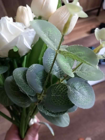 Photo of free Fake flowers (Eastwood NG16) #4