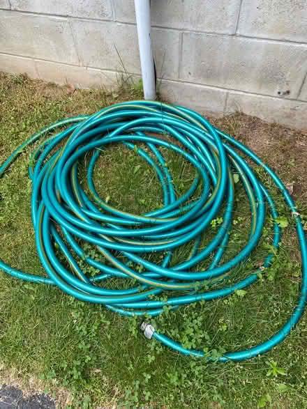 Photo of free Garden Hose (Wilton)