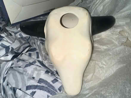 Photo of free Ceramic cowskull (Glasco) #1