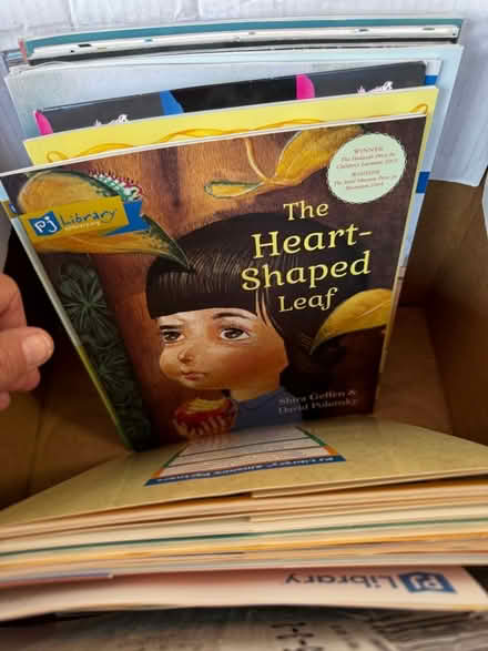 Photo of free Kids’ Books (Saranap) #2