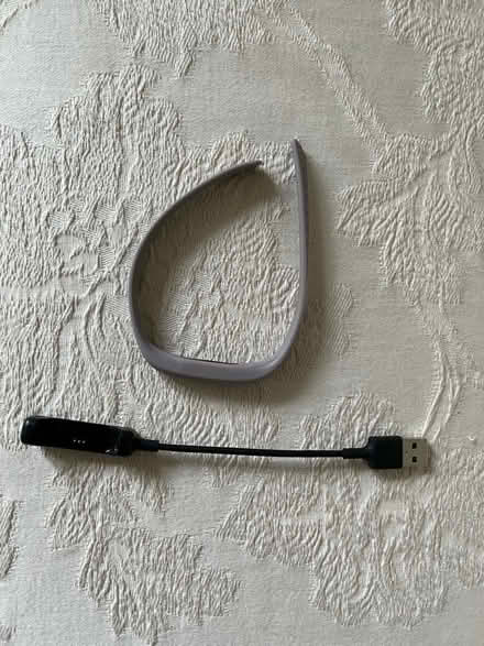 Photo of free Fitbit Flex 2 and charger (Woodstock) #1